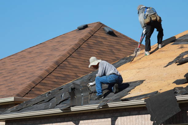 Best Storm Damage Roof Repair  in Lake Village, AR